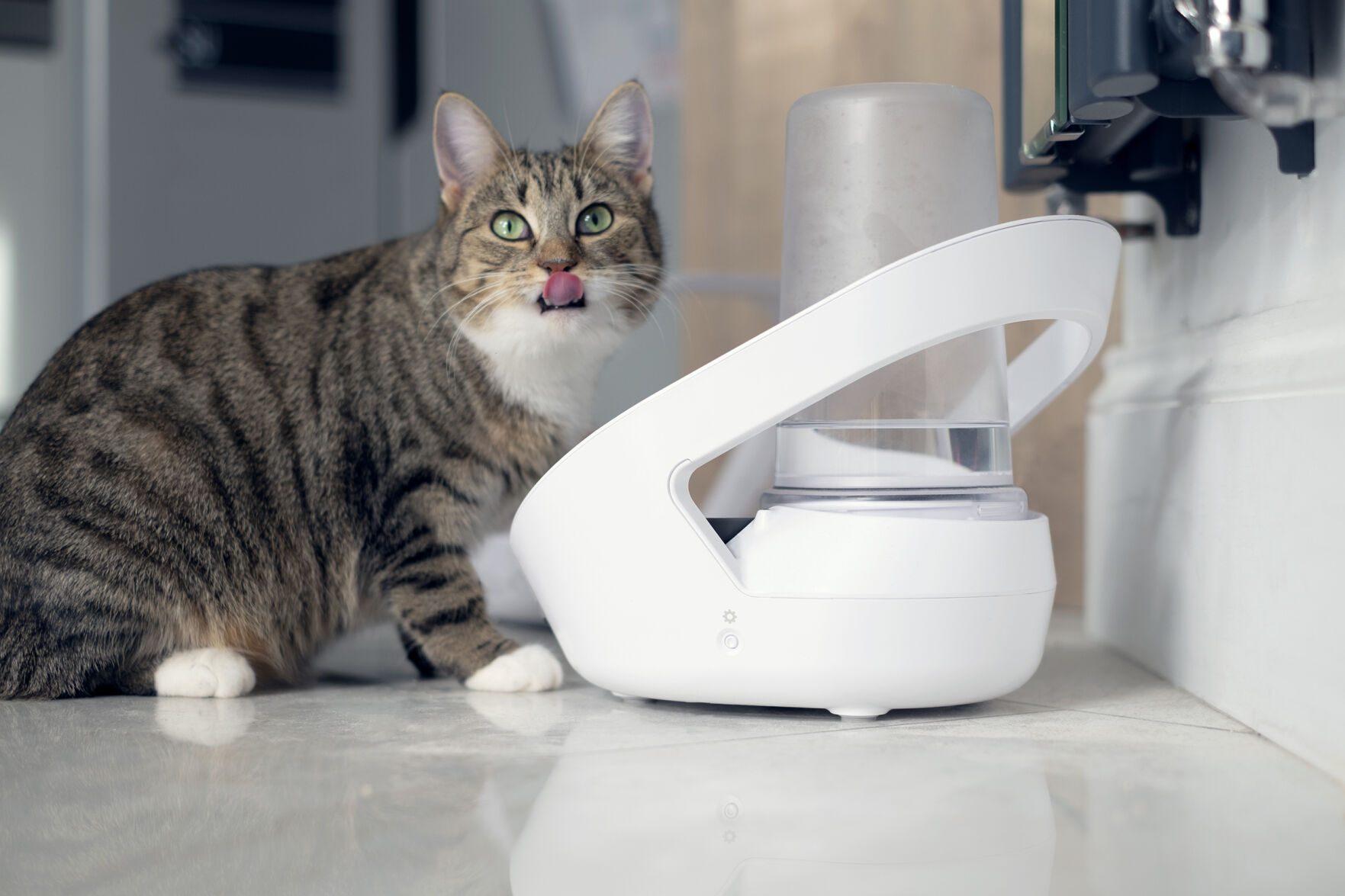 Sure_Petcare_Felaqua_Connect_Sear_3.png